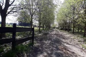 Escuela Egb nro 17 Juan de Lezica y Torrezuri
