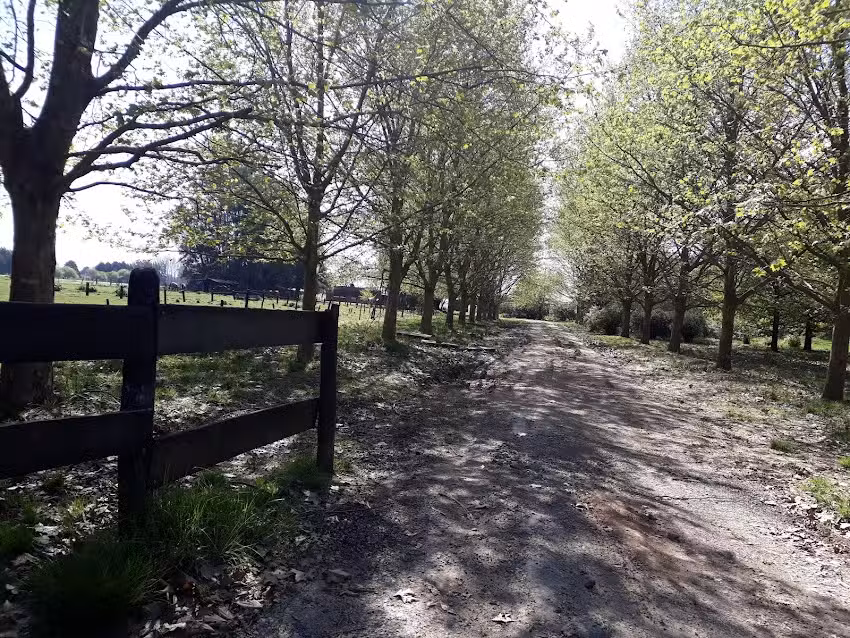 Escuela Egb nro 17 Juan de Lezica y Torrezuri