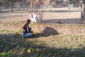 Escuela Especial 501 La Union