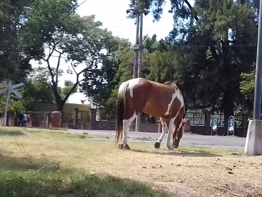 Escuela Especial No 2083