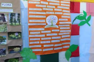 Escuela Especial Tiempo de Crecer