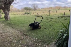 Escuela Esteban Echeverria n13