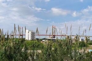 Escuela Evangélica Dr F Jorge Hotton