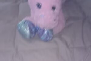 Escuela Evangélica Metodista Juana Manso