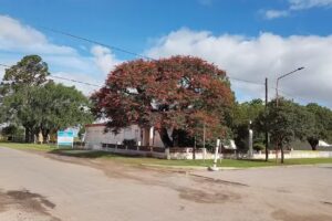 Escuela Gral San Martin