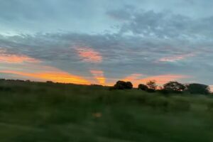 Escuela Inclusiva 55 Bartolomé Hidalgo