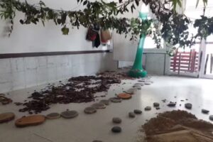 Escuela Infantil N 0810 Caminito ex 0315