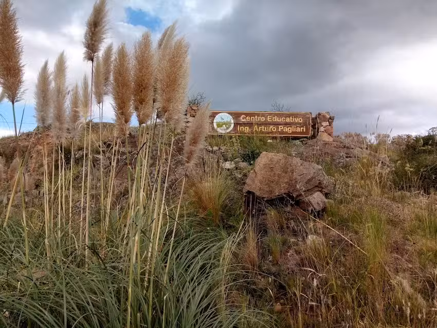 Escuela Ingeniero Arturo Pagliari