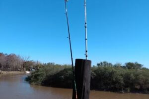 Escuela Isla Charigue