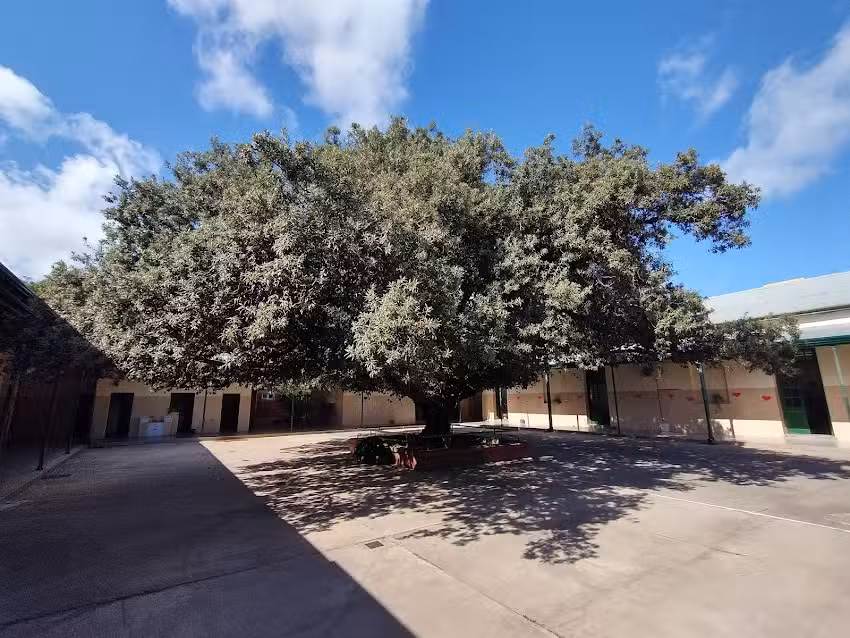 Escuela José De Amenábar N 545