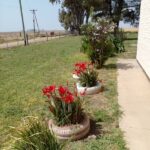 Escuela José Manuel Estrada