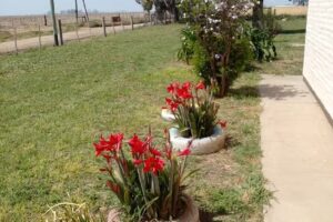 Escuela José Manuel Estrada