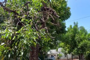 Escuela Manuel Belgrano