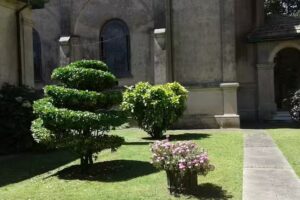 Escuela Maria Teresa Pereyra