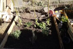 Escuela Media Presidente Peron