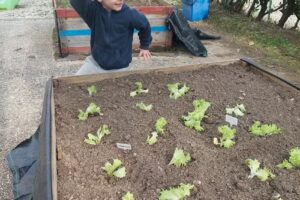 Escuela Montessori Olivos Srl