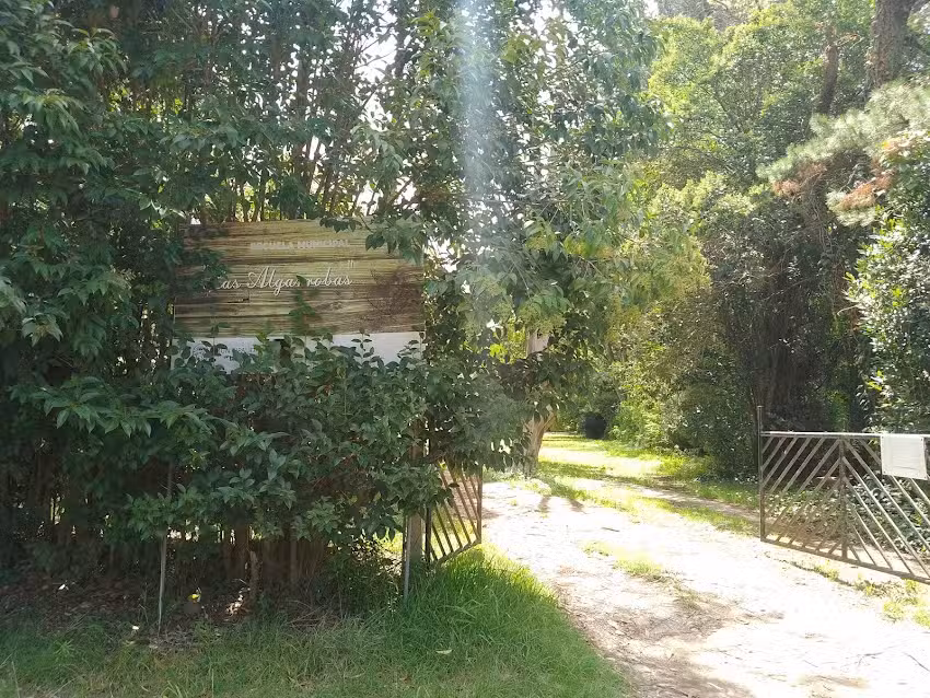 Escuela Municipal Las Algarrobas