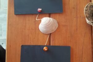 Escuela Municipal Primaria Dr Cesar E Romero