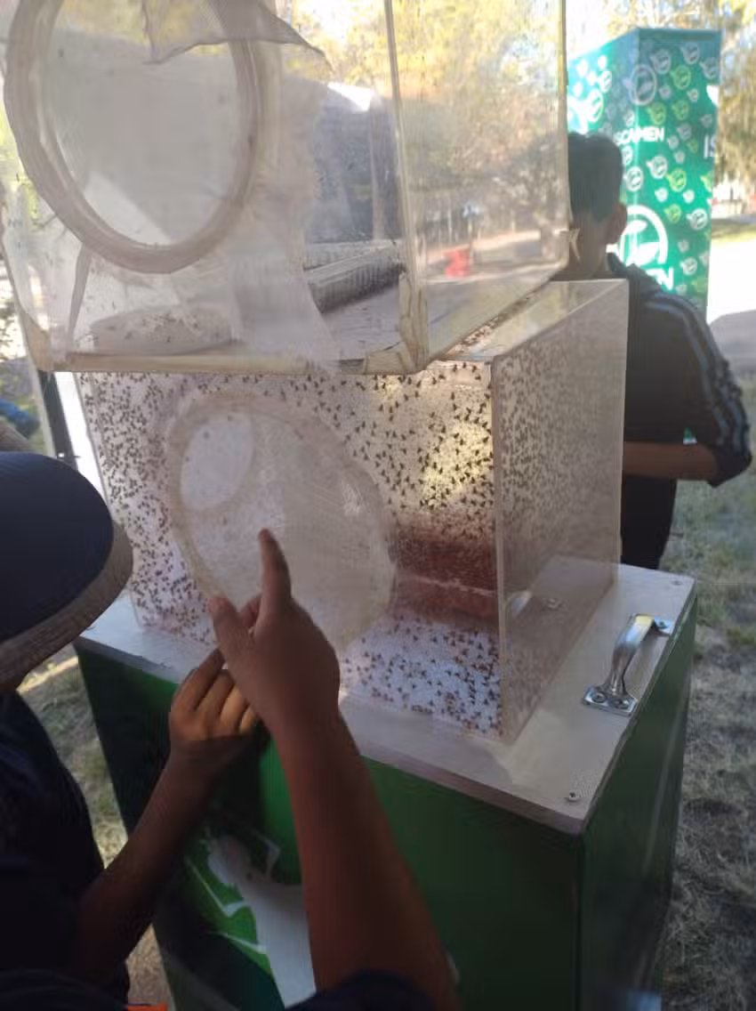 Escuela N 9030 Normal Superior Tomás Godoy Cruz