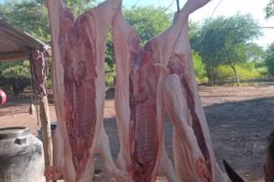 Escuela N 796 Justo Jose de Urquiza