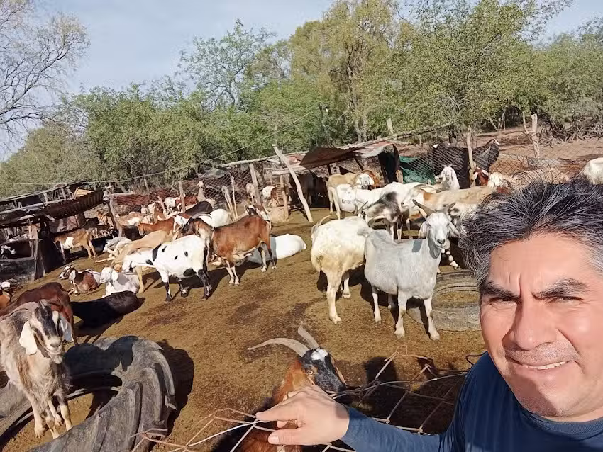 Escuela N 796 Justo Jose de Urquiza