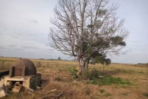 Escuela N 11 Victor Mercante