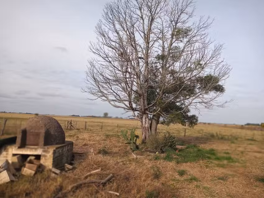 Escuela N 11 Victor Mercante