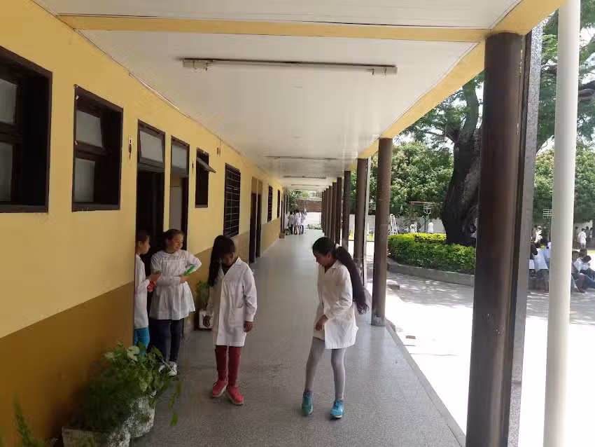 Escuela N 137