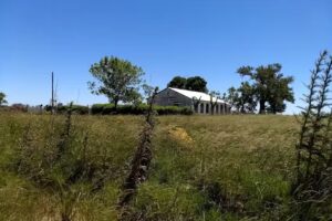 Escuela N 14 Paula Albarracín De Sarmiento