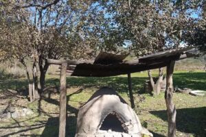 Escuela N 166 Elvira Lopez de Martínez Zavalia Las Lajitas