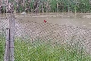 Escuela n 2 Nstra Sra de las Mercedes