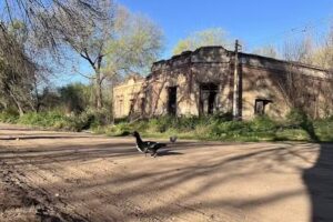 Escuela N 26 Ceferino Namuncura