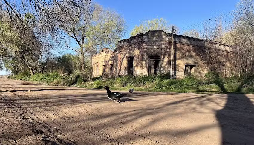 Escuela N 26 Ceferino Namuncura