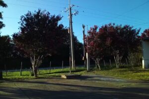 Escuela N 30 Fray Mamerto Esquiu