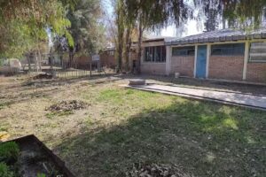 Escuela N 4189 Álamos Mendocinos