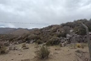 Escuela N 4270 Los Cardones