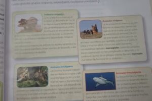 Escuela N 429 Gregorio Agüero