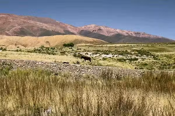 Escuela N 4422 Crucero Ara General Manuel Belgrano