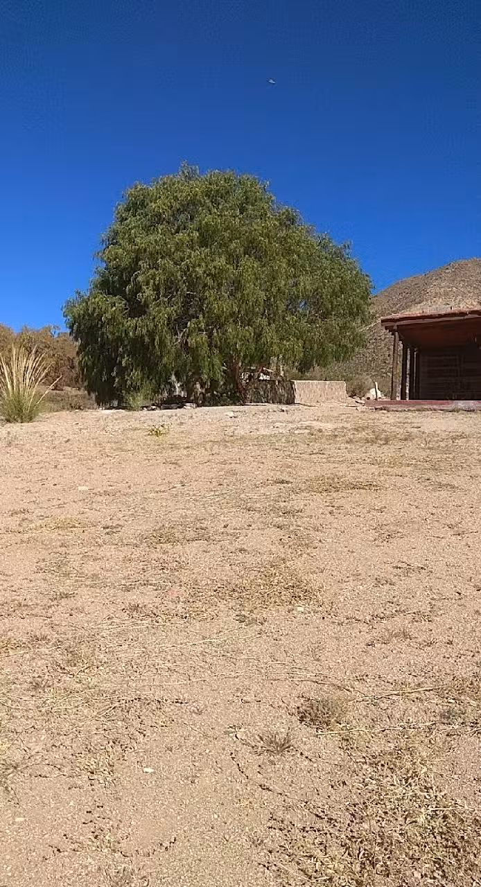 Escuela N 4585 Hualfin