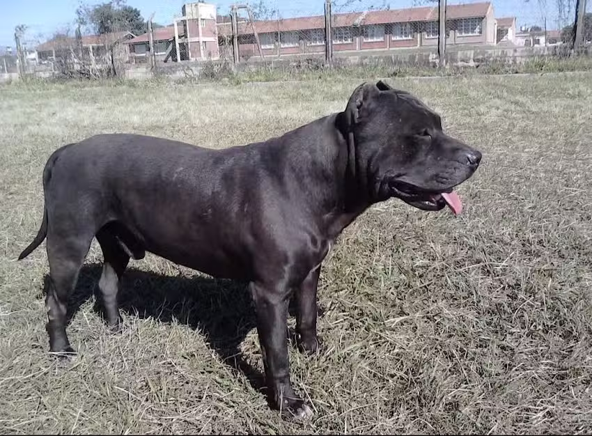 Escuela N 4694 San Leonardo Murialdo