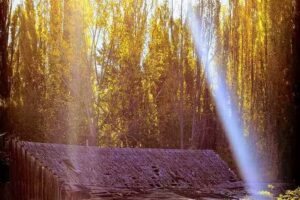 Escuela N 7719 Buenos Aires Chico