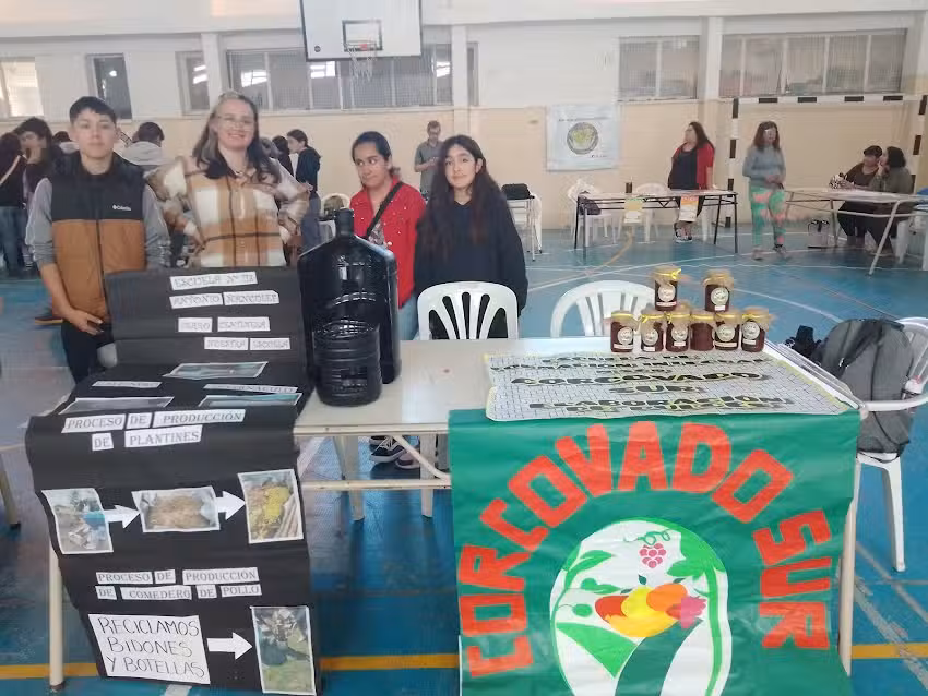 Escuela N 84 Manuel Belgrano