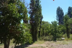 Escuela N066 Mtro Antonio Osvaldo Vega