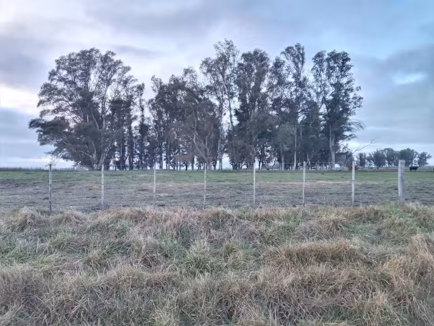 Escuela N10 Tierra del Fuego
