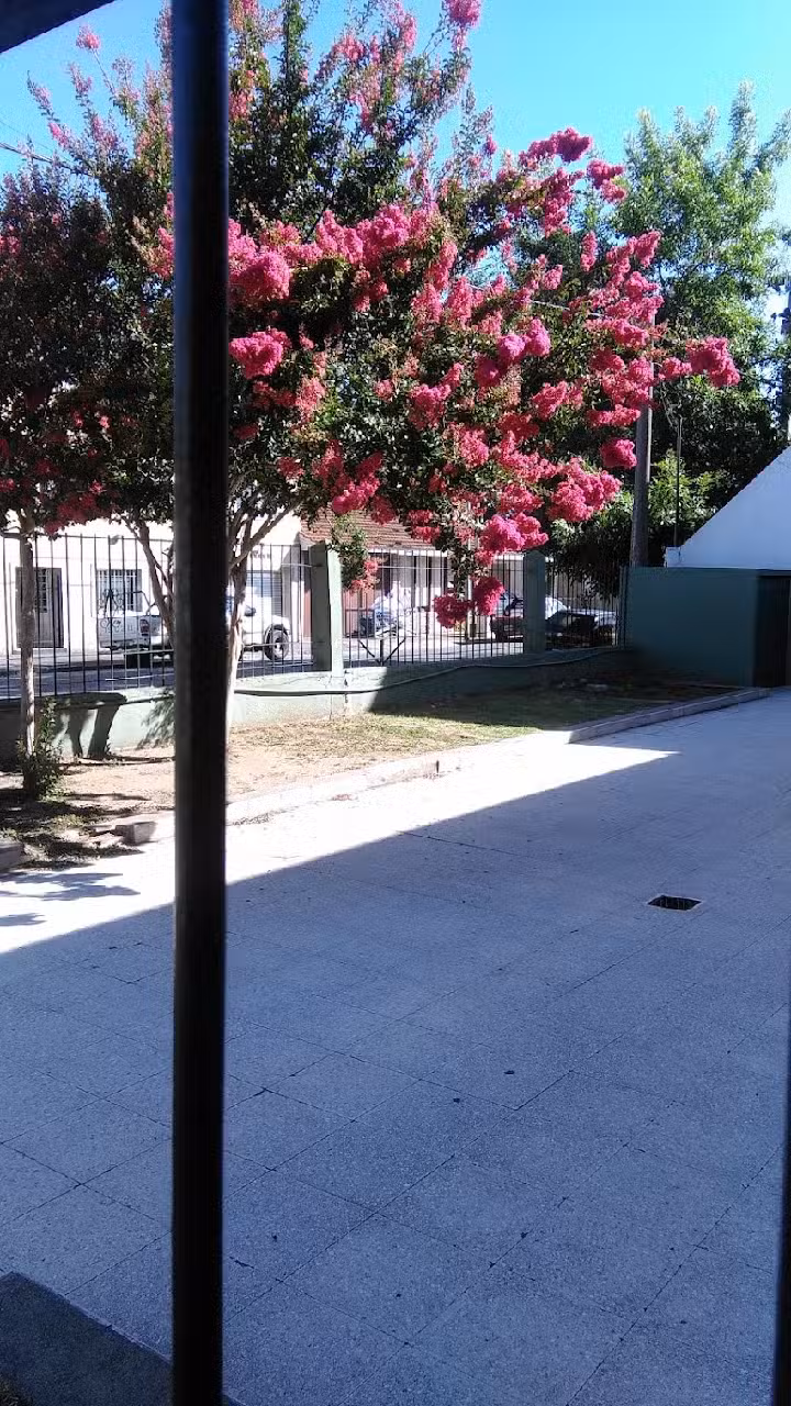 Escuela n12 Ntra Sra del Carmen