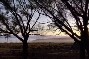 Escuela N130 El Salitral