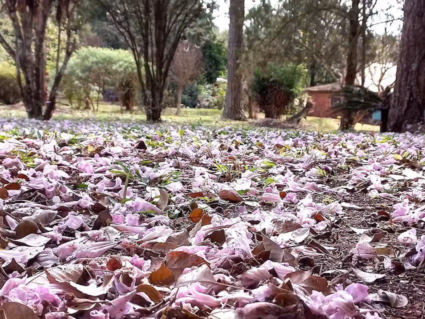 Escuela N158 Héroes del Ejército Argentino