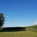 Escuela N16 Justo José de Urquiza