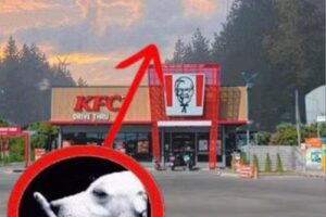 Escuela N41 Joaquín V González