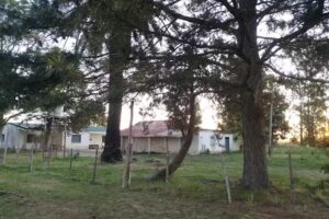 Escuela N50 La Gaceta de Buenos Aires